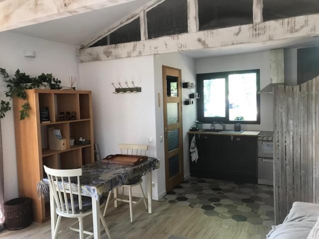 Saint-Paul-en-Forêt La Brindille Petit Mas Provencal Meuble De Tourisme 3 Etoiles 2-3 Personnes 1 Piece 30 M2 Tout Confort Lisiere Foret Jardin Jacuzzi Piscine מראה חיצוני תמונה