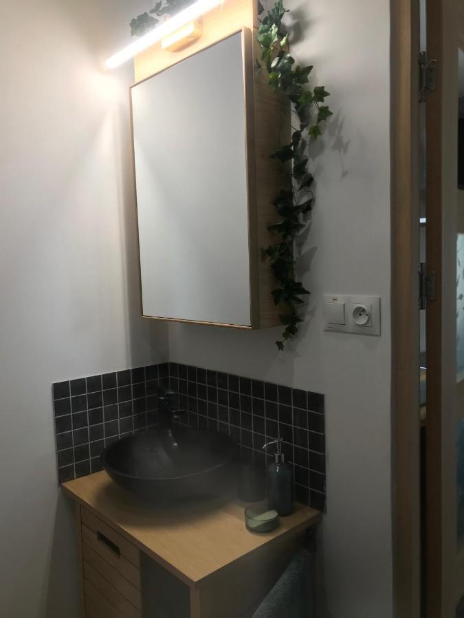 Saint-Paul-en-Forêt La Brindille Petit Mas Provencal Meuble De Tourisme 3 Etoiles 2-3 Personnes 1 Piece 30 M2 Tout Confort Lisiere Foret Jardin Jacuzzi Piscine מראה חיצוני תמונה