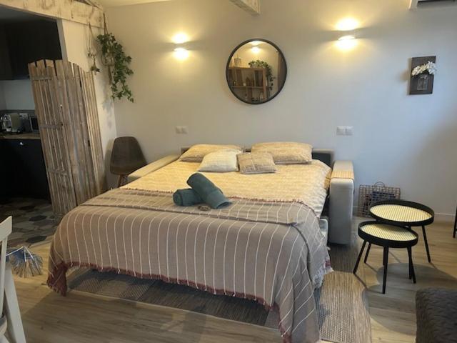 Saint-Paul-en-Forêt La Brindille Petit Mas Provencal Meuble De Tourisme 3 Etoiles 2-3 Personnes 1 Piece 30 M2 Tout Confort Lisiere Foret Jardin Jacuzzi Piscine מראה חיצוני תמונה
