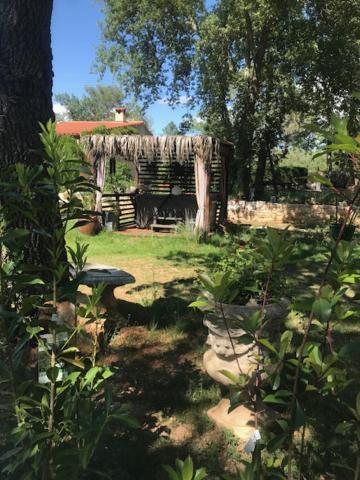 Saint-Paul-en-Forêt La Brindille Petit Mas Provencal Meuble De Tourisme 3 Etoiles 2-3 Personnes 1 Piece 30 M2 Tout Confort Lisiere Foret Jardin Jacuzzi Piscine מראה חיצוני תמונה