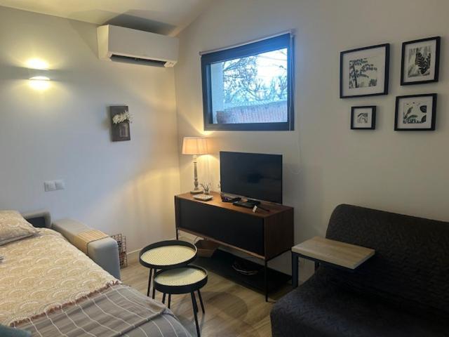 Saint-Paul-en-Forêt La Brindille Petit Mas Provencal Meuble De Tourisme 3 Etoiles 2-3 Personnes 1 Piece 30 M2 Tout Confort Lisiere Foret Jardin Jacuzzi Piscine מראה חיצוני תמונה